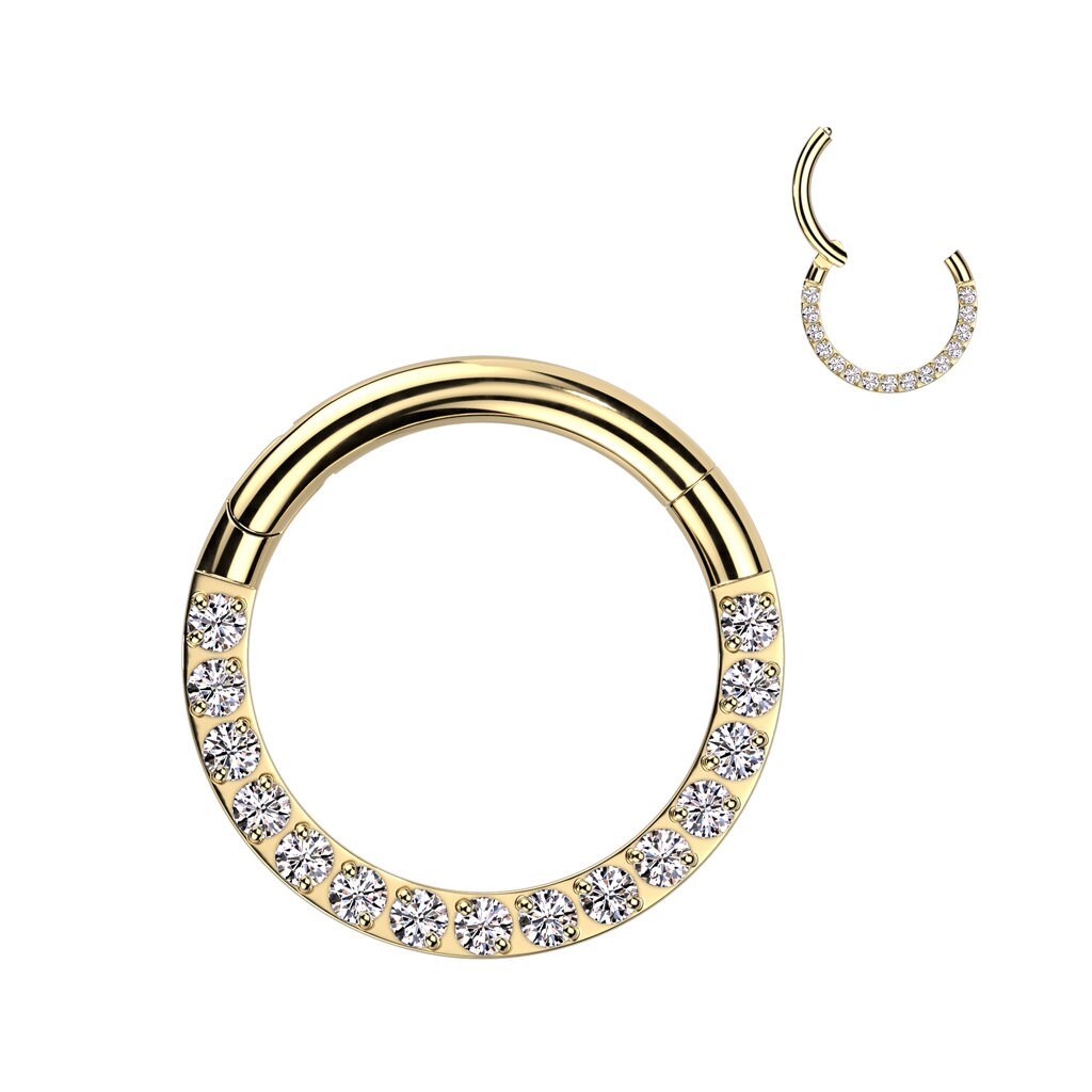 Implant Grade Titanium Hinged Segment Hoop Ring With Forward Facing Pave CNC Set CZ, Helix, Cartilage,