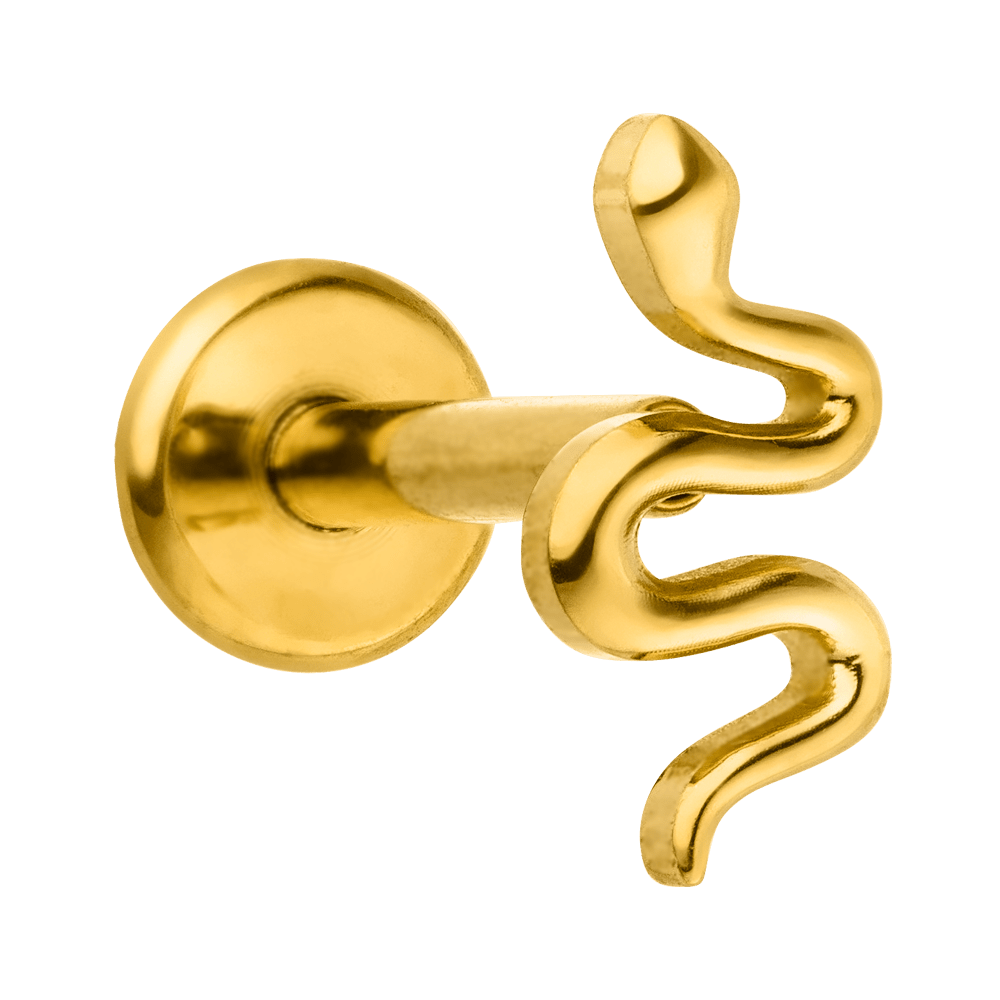 Tiny Snake Titanium Threadless Flat Back Labret